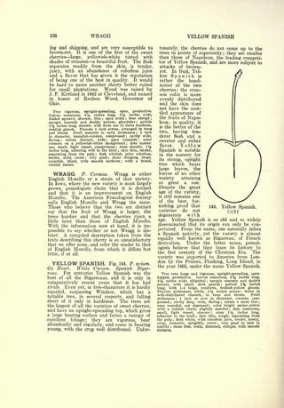 Cyclopedia of Hardy Fruits; by U. P. Hedrick (1922) 
