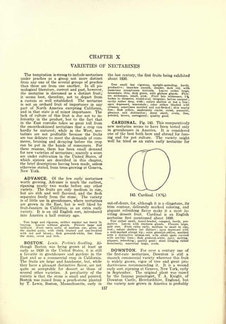 Cyclopedia of Hardy Fruits; by U. P. Hedrick (1922) 