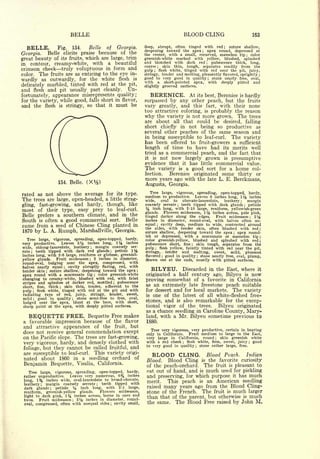 Cyclopedia of Hardy Fruits; by U. P. Hedrick (1922) 