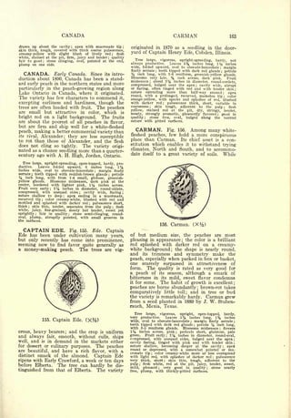 Cyclopedia of Hardy Fruits; by U. P. Hedrick (1922) 