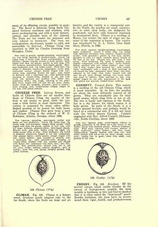 Cyclopedia of Hardy Fruits; by U. P. Hedrick (1922) 