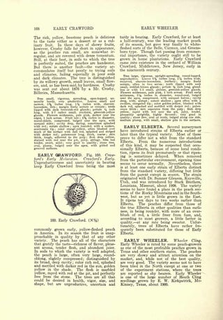 Cyclopedia of Hardy Fruits; by U. P. Hedrick (1922) 