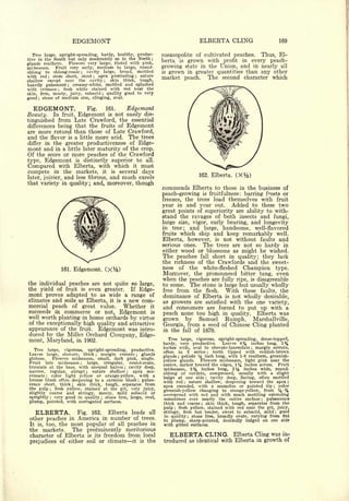 Cyclopedia of Hardy Fruits; by U. P. Hedrick (1922) 