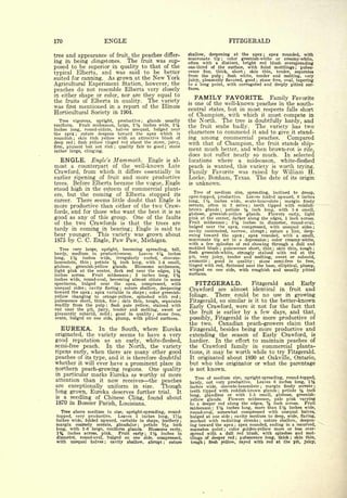 Cyclopedia of Hardy Fruits; by U. P. Hedrick (1922) 