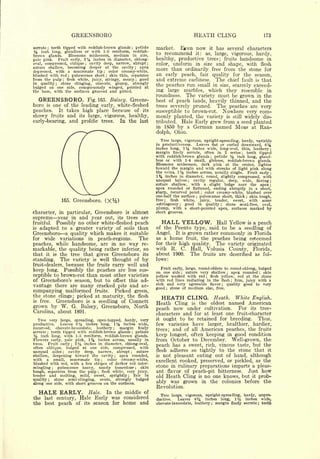 Cyclopedia of Hardy Fruits; by U. P. Hedrick (1922) 