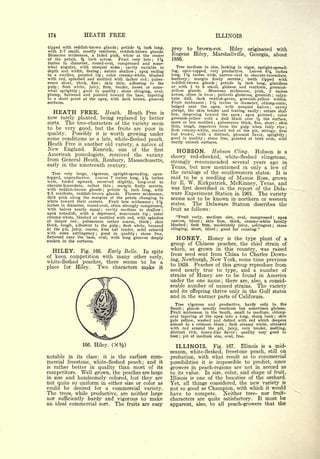 Cyclopedia of Hardy Fruits; by U. P. Hedrick (1922) 