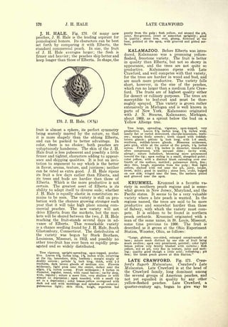 Cyclopedia of Hardy Fruits; by U. P. Hedrick (1922) 