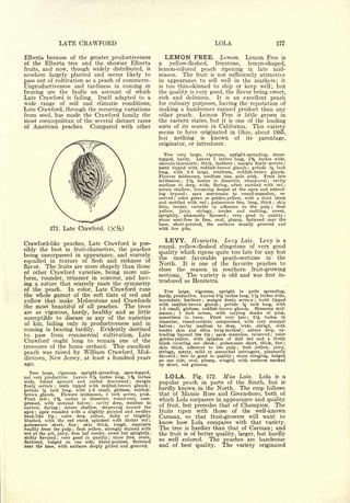 Cyclopedia of Hardy Fruits; by U. P. Hedrick (1922) 