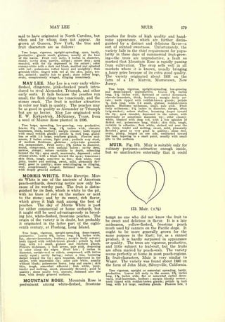 Cyclopedia of Hardy Fruits; by U. P. Hedrick (1922) 