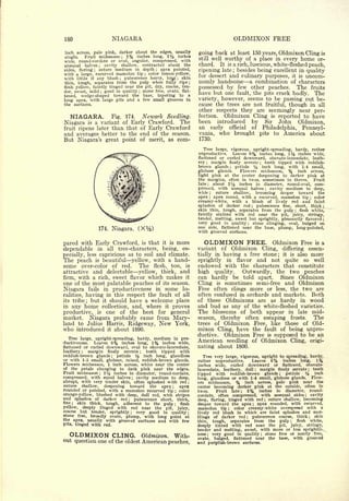 Cyclopedia of Hardy Fruits; by U. P. Hedrick (1922) 