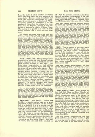 Cyclopedia of Hardy Fruits; by U. P. Hedrick (1922) 