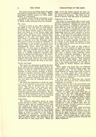 THE STEM                                      CHARACTERS OF THE SKIN
  The terms used in describing shapes of apples           right, if the tips incline inward,    the lobes are
and pears are applicable to the quince. Many              said to be connivent; if inclined    outward, they
oomologists describe quinces as either apple-             are re flexed or divergent. The      lobes may be
shaped or pear-shaped.                                    broad or narrow, with tips acute     or acuminate.
     A   graphic record should   accompany a de-
                                                          Characters of the skin.
scription of the fruit, to show size and shape.
A  simple outline drawing serves the purpose.                The skins of pome-fruits offer several most
                                                          valuable features for classification, color being
The      stem.                                            the most important. Perhaps no character of
  Varying as little as any other character of             fruits varies more in accordance with environ-
the apple or pear, the stem is much used in               ment than the color, yet the color itself and
identification. It may be long and slender,               the way in which it is distributed on the fruit
as in the Rome Beauty apple or Bosc pear;                 serve to make this character a fairly safe dis-
short and thick as in the Sutton apple and                tinguishing mark for most varieties of pome-
Cornice pear; fleshy as in the Peck Pleasant              fruits.  The ground-color of apples, pears, and
apple and Louise Bonne pear; clubbed when                 quinces is the green or yellow-green of chloro-
enlarged at the end; and lipped when the                  phyll, usually with an over-color of tints and
flesh forms a protuberance under which the                shades of yellow or red. The over-color may
stem is inserted, as in the Pewaukee apple.               be  laid on in stripes, splashes or streaks; or
The stems of pears are often set obliquely, as            as a blush it may mottle the surface, or may
                                                                     ;


in Clairgeau; or are crooked or curved, as in             be a single color, in which case the fruit is said
Howell. The stems of some pome-fruits have                to be self-colored.
distinguishing colors; those of others are                  The skin may be thick or thin, tough or
pubescent. In some pears, as Bergamot d'Es-               tender. In a few varieties of apples it is rela-
peren, there are bud-like projections on the              tively free from the flesh, but with most clings
stem. The length of the stem in apples and                tightly. The surface of the skin may be cov-
pears is a reliable diagnostic character only             ered with a delicate white substance called
when it is known from what part of the flower-            the bloom, Mclntosh furnishing a good ex-
cluster the fruit was developed.      For, as a           ample of an apple with a bloom. In other
rule, the nearer the flower to the center of the          varieties the skin is waxy or oily, as in Lowell
umbel in the apple, and the tip of the raceme             and Tompkins King apples. This character
in the pear, the shorter the stem of the fruit.           must not be confused with waxen, which re-
                                                          fers to   the glossy appearance of the skin of
Cavity and basin.                                         such apples as Winter Banana and Maiden
     The
       cavity, the depression in which the stem           Blush.
is     offers several marks which greatly en-
     set,                                                    Some apples and pears have an unbroken
hance the value of a description of any of the            russet surface, as Roxbury Russet apple and
pomes. It may be acute or obtuse; shallow,                the Sheldon pear.      Or the surface may be
medium, or deep; narrow, medium, or broad;                rough because of minute russet dots or netted
smooth or russeted; furrowed, ribbed, angular,            veins.    In many apples the cavity alone is
or uniform; or it may be lipped as described              russeted, as in Pumpkin Sweet.      If the russet
under stem. The color of the skin within the              of the cavity is spread out in radiating lines,
cavity is sometimes different from that with-             it is said to be radiating.

out,     and there may be radiating      lines,   rays,      In some apples a suture-like line extends
or streaks.                                               toward the apex from the base, Tolman Sweet
     The    basin, the depression in which the calyx      furnishing an example.
is set, is    as important as the cavity in classify-        With varieties of all of the pome-fruits, note
ing pomes, and is described by the same                   should be made of the presence and character
terms.   The furrows in the basin are some-               of pubescence about the calyx. In the quince,
times indistinct and are then called wavy.                the whole surface is covered with woolly
The skin around the calyx-lobes may be                    pubescence, which must be described.
wrinkled, plaited, folded or corrugated. Rarely,             Nearly all apples and pears have few or
there are fleshy protuberances about the calyx-           many dots on the skin, notes on which may
lobes, as in the Delicious apple and Siberian             enhance the value of a description.         These
crab-apple, called mammiform appendages.                  may be obscure or conspicuous, large or small,
                                                          raised or sunken. If visible under the epider-
 Calyx-lobes.                                              mis, they are said to be submerged.        When
   The withered calyx-lobes persist in some               star-like, they are called stellate.      If sur-
 pomes and not in others. They persist in the             rounded by a halo of lighter color, they are
 common apple and are deciduous in P. bac-                 said to be areolar. In some varieties of apples,
 cata; persist in European pears, deciduous in             the dots are much elongated.
 the                 Asiatic species; persist in
         edible-fruited                                      The .roughened outer skin, called scarf-skin,
 the     commonquince, deciduous in the Japanese           gives a distinguishing appearance to a few
 quince. The calyx-lobes may be open, partly               apples. The scarf-skin runs outward from the
 open, or closed in varieties of the fruits in             base of the apple in lines or stripes on Pump-
 which they are persistent. In some varieties              kin Sweet, Green Newtown, and some other
 of apples the segments are separated at the               varieties.  This scarf-skin gives a dull appear-
 tase; in others, united. The lobes may lie flat           ance to some red apples, as Sweet Winesap and
 on the fruit or may stand erect. When up-                 Black Gilliflower.
 