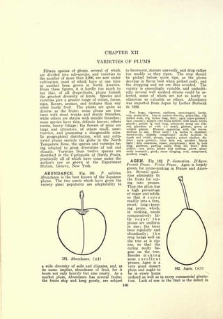 Cyclopedia of Hardy Fruits; by U. P. Hedrick (1922) 