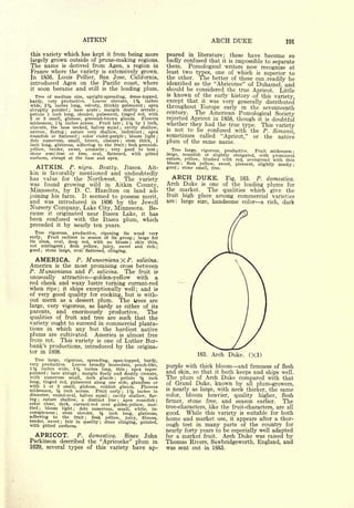 Cyclopedia of Hardy Fruits; by U. P. Hedrick (1922) 