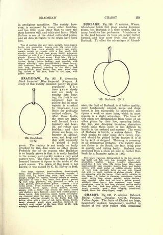 Cyclopedia of Hardy Fruits; by U. P. Hedrick (1922) 