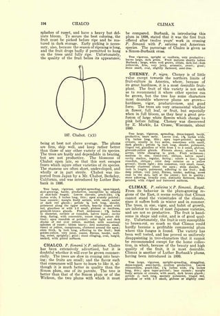 Cyclopedia of Hardy Fruits; by U. P. Hedrick (1922) 