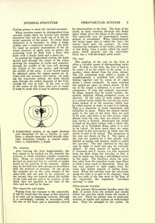 INTERNAL STRUCTURE                                   FIBROVASCULAR BUNDLES

Cutting pomes to show the internal structure.          by abnormalities in the fruit. The base         of the

   When varieties cannot be distinguished from         styles, in some varieties, develops into        fleshy
                                                       tissue   which   alters the   shape of the calyx-tube.
external marks, there are several very reliable
characters that can be made use of in the in-
                                                       The   calyx-tube may          be cone-shaped, funnel-
ternal anatomy of the pome. To study these             shaped, or urn-shaped.    When funnel-shaped,
                                                       the broad upper part is called the limb; the
characters it is necessary to make a longi-
                                                       narrow lower part, the cylinder.        In some
tudinal and a transverse section of the fruit.
                                                       varieties the remnants of the styles, often more
To make an accurate examination of the in-             or less fleshy, form a point, called the pistil-
ternal structure of apple, pear or quince, the
                                                       point, which projects into the calyx-tube.
sectioning must be done with a keen, thin              Gano has a well-developed pistil point.
knife, with a steady hand and a good eye.
   In making the longitudinal section, the knife       The     core.
should pass through the center of the calyx,
                                                         The   position of the core in the fruit is
showing the remnants of styles and stamens;            often a valuable means of distinguishing varie-
through the middle of the core cell, showing           ties. If close to the stem, the core is said to
the outline of the core cavity; and through
                                                       be sessile; if at the center of the pome, it is
the middle of the stem. A true record cannot
be obtained unless the organs named are di-            median; when distant from the stem, distant.
                                                       The cell containing seed, called a carpel, is
vided with fair accuracy into halves. In mak-
                                                       morphologically a modified leaf, which by
ing the transverse section, the knife should
                                                       folding together and by union of its edges
pass through the widest diameter of the fruit,         forms a closed receptacle. In some varieties
cutting the core in half.   If the core is not
                                                       the carpels are open; in others, closed. If the
in the center of the fruit, trial cuts to locate
it must be made that it may be halved exactly.
                                                       tip of the carpel is indented, it is said to be
                                                       emarginate; if long and pointed, mucronate.
                                                       In shape, carpels may be round, cordate, ob-
                                                       cordate, elliptical, oblong, elongated, ovate, or
                                                       obovate. In the cores of most pomes there
                                                       is a central cavity called the core-cavity, some-
                                                       times spoken of as the axial-sac, which may
                                                       be either narrow or wide in some it is lacking.
                                                                                       ;


                                                       This is a character of much importance and
                                                       reliability in pears. When the carpels extend
                                                       quite to the axis of the fruit, they are said
                                                       to be axile, and there is no core cavity; when
                                                       distant from the axis, they are abaxile, and a
                                                       core cavity is formed. Sometimes the carpel
                                                       is lined on the inner surface with a white sub-
                                                       stance, as in Tompkins King, when it is said
                                                       to be tufted. In some pears there are many
                                                       fine hairs in the core-cavity, in which case the
2.    Longitudinal section of an apple showing
     core characters (X Vz). a, Cavity; b, core-       cavity is said to be tufted. The characters of
     lines; c, abaxile open core with broadly ellip-
                                                       the core are shown in Fig. 2. The limits of
     tical mucronate carpels; d, conical calyx-        the core are marked by a line usually very
                                                       distinct in apples and quinces, which is called
     tube; e, calyx-lobes; /, basin.
                                                       the core-line. The area enclosed by this line
                                                       may be large or small and may be variously
The stamens.                                           shaped.     In some species of apples, as in
     After halving the fruit longitudinally, the       P. coronaria and P. ioensis, rue core separates
first   organs to be studied are the stamens, the      from the flesh along the core-line so that it
position of which furnishes reliable taxonomic         may be taken out, leaving a well-defined cavity
data.   Hogg, an eminent British pomologist,           in the apple.    The direction which the core-
devised an analytical key to varieties of apples       line takes from the intruded woody stem fibres
based on the position of the stamens. Apples           is often a clear mark of distinction.  Thus, the
may be divided into three groups in accordance         line may proceed at right angles from the
with the position of stamens. In one group             stem, may incline upward, or incline down-
the stamens are on the outer margin of the             ward. When the core-line joins the calyx-tube
calyx-tube and are said to be marginal; in             along the sides it is said to be clasping; when
the second, they are located about the middle          the two ends of the line meet at the base of
of the tube and are said to be median; in the          the    calyx-tube,  the   expression "core-lines
third, they are inserted at the base of the            meeting" is used.
tube and are said to be basal.
                                                       Fibrovascular bundles.
The calyx-tube and      styles.                          Ten primary   fibrovascular bundles enter the
   Passing from the stamens to the calyx-tube,         flesh    of   pomes from thepedicel and closely
it will be found that the shape of this structure      follow the core-line which marks the limits of
is of some use in                                      the core. These are plainly seen in transverse
                   separating varieties, although
it is exceedingly variable in accordance with          sections of apples and quinces as well-marked
the size of the fruit, and is materially altered       dots.   They are arranged in two cycles. In
 