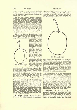 Cyclopedia of Hardy Fruits; by U. P. Hedrick (1922) 