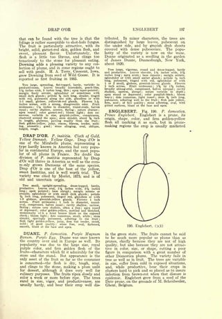 Cyclopedia of Hardy Fruits; by U. P. Hedrick (1922) 