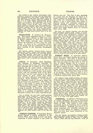 Cyclopedia of Hardy Fruits; by U. P. Hedrick (1922) 