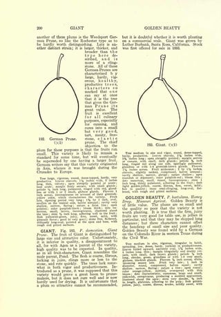 Cyclopedia of Hardy Fruits; by U. P. Hedrick (1922) 