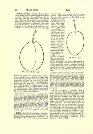 Cyclopedia of Hardy Fruits; by U. P. Hedrick (1922) 