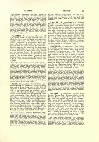 Cyclopedia of Hardy Fruits; by U. P. Hedrick (1922) 