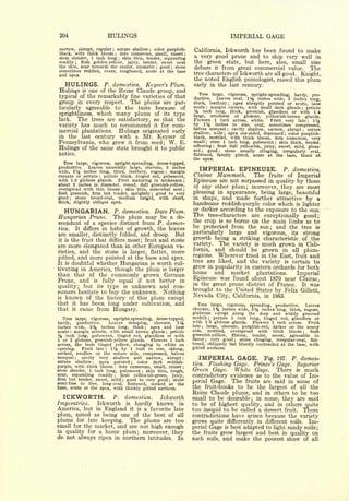 Cyclopedia of Hardy Fruits; by U. P. Hedrick (1922) 