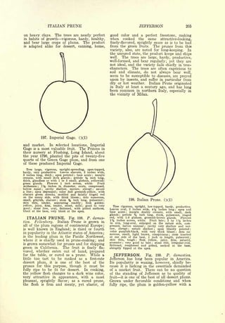 Cyclopedia of Hardy Fruits; by U. P. Hedrick (1922) 