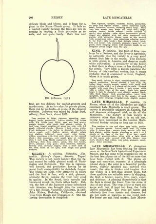 Cyclopedia of Hardy Fruits; by U. P. Hedrick (1922) 