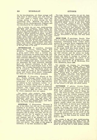 Cyclopedia of Hardy Fruits; by U. P. Hedrick (1922) 