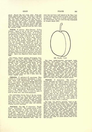 Cyclopedia of Hardy Fruits; by U. P. Hedrick (1922) 
