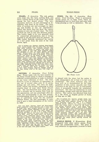 Cyclopedia of Hardy Fruits; by U. P. Hedrick (1922) 