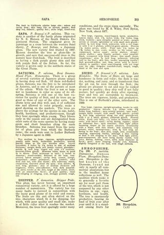 Cyclopedia of Hardy Fruits; by U. P. Hedrick (1922) 