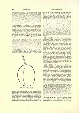 Cyclopedia of Hardy Fruits; by U. P. Hedrick (1922) 