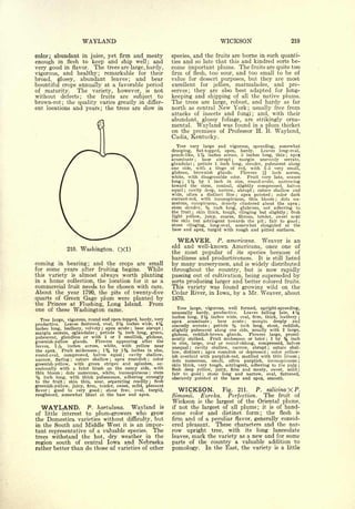 Cyclopedia of Hardy Fruits; by U. P. Hedrick (1922) 