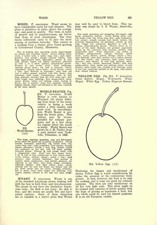 Cyclopedia of Hardy Fruits; by U. P. Hedrick (1922) 