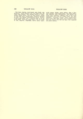 Cyclopedia of Hardy Fruits; by U. P. Hedrick (1922) 