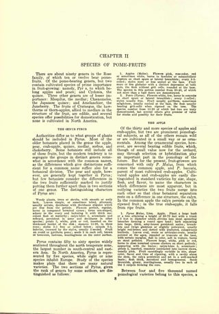 CHAPTER              II

                                   SPECIES OF POME-FRUITS
   There are about ninety genera in the Rose                     1.  Apples (Malus).     Flowers pink, rose-color, red
                                                              or sometimes white, borne in fascicles or subumbellate
family,  of which ten or twelve bear pome-                    clusters on short spurs or lateral branchlets ; ovary 3-5-
fruits. Of the pome-bearing genera, but two                   celled  ;styles more or less united at the base.     Fruit
contain cultivated species of prime importance                more or less globular with a distinct depression at both
                                                              ends,  the flesh without grit cells, rounded at the base.
in fruit-growing: namely, Pyr s, to which be-                 The species in this section number from 30-40, of which
long apples and pears; and Cydonia, the                       not more than a half dozen are domesticated.
quince. Three other genera are of lesser im-                     2.  Pears (Pyrus). Flowers white, few, borne in corymbs
                                                              on short spurs or lateral branchlets       ovary 5-celled ;
portance: Mespilus, the medlar; Chsenomeles,
                                                                                                      ;


                                                              styles usually free.   Fruit usually pyriform, sometimes
the Japanese quince; and Amelanchier, the                     subglobose, usually conical at the base, the flesh usually
Juneberry. The fruits of Crataegus, the haw-                  bearing grit-cells when ripened on the tree.           The
thorns or thorn-apples, allied to medlars in the              species number from 15-20 of which but two are truly
                                                              domesticated,   but several others give promise of value
structure of the fruit, are edible, and several               for stocks and possibly for their fruits.
species offer possibilities for domestication, but
none is cultivated in North America.
                                                                                         THE APPLE
                  THE GENUS PYRUS                               Of the  thirty and more species of apples and
                                                              crab-apples, but two are prominent pomologi-
  Authorities differ as to what groups of plants              cal subjects, as all of the others remain wild
should be included in Pyrus.       Most of the                or are cultivated in a small way or as orna-
older botanists placed in the genus the apple,                mentals. Among the ornamental species, how-
pear, crab-apple, quince, medlar, sprbus, and                 ever, are several bearing edible fruits, which,
chokeberry.    Some botanists still include all               though of small value now for the orchard,
of these fruits, but the modern tendency is to                may through selection or hybridization play
segregate the groups in distinct genera some-                 an important part in the pomology of the
what in accordance with the common names,                     future. But for the present, fruit-growers are
as the differences which give distinctions suffi-             concerned with only P. Malus, from which
cient for a common name suffice also for a                    comes the common apple, and P. baccata,
botanical division. The pear and apple, how-                  parent of most cultivated crab-apples. Culti-
ever, are generally kept together in Pyrus;                   vated apples and crab-apples are easily dis-
but few botanists consider the differences in                 tinguished in standard varieties by size, shape,
the two fruits sufficiently marked to justify                 flesh, and flavor, to name the characters in
putting them further apart than in two sections               which differences are most apparent, but in
of one genus.     The distinguishing characters               outlying varieties the two fruits merge into
of   Pyrus are:                                               each other so that clear botanical separation
                                                              rests on a difference in one structure, the calyx.
  Woody     plants, trees or shrubs, with smooth or scaly     In the common apple the calyx persists on the
bark.     Leaves simple, or sometimes lobed, alternate,
usually serrate, deciduous with deciduous stipules which      ripened fruit; in the true crab-apple, it falls
are free from the petiole.       Flowers perfect, regular,    from        ripe fruits.
borne in compound terminal cymes ; torus urn-shaped,
adnate to the ovary and inclosing it with thick suc-             1.       Pyrus Malus, Linn.Apple.   Plant a large bush
culent flesh at maturity ; calyx-lobes 5, acuminate and       or a tree attaining a height of 60-70 feet with a trunk
reflexed,   persistent in some and deciduous in other         1-2 feet in diameter which .divides into stout spreading
species ; petals 5, white, pink or red, inserted on the       branches forming a round open head ; bark separating
thickened border of the disk   ;
                                   stamens 15-20, in three    into large, thick, ashy-brown persistent scales ; branch-
rows  ;  styles 2-5 free 01 united below    ;  carpels 2-5,   lets and twigs glabrous or slightly pubescent, usually
inferior, crowned by the styles, usually 2-seeded.    Fruit   bright red-brown and dotted with scattered, conspicuous
 an ovoid or pyriform poine ; seeds 2 in each cell, brown     lenticels.  Leaves oval, ovate or orbicular-ovate, usually
or brownish, lustrous, mucilaginous on the outer surface.     pointed at the apex, rounded or truncate at the base,
                                                              with serrate margins, dull in color, soft in texture, borne
                                                              on stout petioles.    Flowers large, white, pink or red,
  Pyrus contains fifty to sixty species widely                borne in close terminal cymose clusters on short pedicels ;
scattered throughout the north temperate zone,                appearing   with the leaves ; calyx-lobes 5, acuminate ;
the largest number in south-central and east-                 petals 5, inserted, remotely contracted into narrow claws,
                                                              usually pink.    Fruit exceedingly variable in size, shape
ern Asia. In North America, Pyrus is repre-
                                                              color, flavor and time of ripening, with a cavity about
sented by five species, while eight or nine                   the stem, the calyx persistent and set in a well-marked
species inhabit Europe. Study of the species                  basin ; flesh thick, succulent and homogeneous.       Seeds
makes plain that there are many natural                       brownish, glossy, mucilaginous, usually two in each of
                                                              the 5 carpels forming the core.
varieties.  The two sections of Pyrus, given
the rank of genera by some authors, are dis-                    Between four and five thousand named
tinguished as follows:                                        pomological varieties belong to this species, a
 