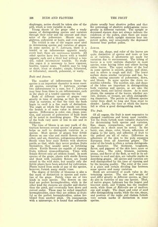 Cyclopedia of Hardy Fruits; by U. P. Hedrick (1922) 