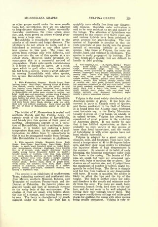 Cyclopedia of Hardy Fruits; by U. P. Hedrick (1922) 