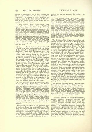 Cyclopedia of Hardy Fruits; by U. P. Hedrick (1922) 