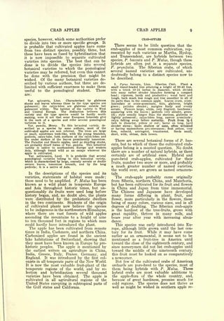 CRAB APPLES                                                  CRAB APPLES

species, however, which some authorities prefer                                          CRAB-APPLES
to divide into two or more specific groups. It
is probable that cultivated apples have come
                                                                There seems to be little question that the
from two distinct species, possibly three, but                crab-apples of most common cultivation, rep-
                                                              resented by such varieties as Martha, Hyslop,
these have been so fused by hybridization that
it is now impossible to separate cultivated
                                                              and Transcendent, are hybrids between two
varieties into species. The best that can be                  species, P. baccata and P. Mains, though these
done is to divide the species into several                    hybrids are often put in a separate species,
botanical varieties to which the pomological                  P. prunifolia.   The Siberian crabs, of which
                                                              several        named      varieties   are       cultivated,   un-
varietiesmay be referred, but even this cannot                doubtedly belong to a distinct species                  now    to
be done with the precision that might be
wished. Of the many botanical varieties de-                   be described,
scribed by various authors, but three are de-                    2.  Pyrus baccata, Linn.         Siberian Crab.     Plant a
limited with sufficient exactness to make them                small round-headed tree attaining a height of 30-40 feet,
useful to the pomological student.       These                with a trunk 10-12 inches in diameter, which divides
                                                              into many rather slender branches forming a compact
                                                              head   ; vigorous, hardy and productive         wood hard and
                                                                                                               ;


                                                              tough, bark much less rough and tree smoother in all of
  Var.   sylvestris, Linn.    Characterized by glabrous       its parts than in the common apple.        Leaves ovate, ovate-
shoots and leaves whereas those in the type species are       lanceolate or ovate-acuminate, thin, glabrous, bright
pubescent ; the calyx-lobes are glabrous outside but          green      petioles
                                                                         ;
                                                                                    slender ;  margins finely and evenly
pubescent within.    The habitat of the variety is West       serrate.    Flowers large, white, very fragrant, handsome ;
and Central Europe.        The distinction between this       appearing with the leaves        pedicels very slender, green-
                                                                                                ;

variety and the type species would be hardly worth            ish;  style usually longer than the stamens, glabrous or
making, were it not that some European botanists give         lightly pubescent     ; calyx-lobes long, narrow acuminate ;
it the rank of a species and refer several pomological        calyx falling away before maturity.          Fruit from %-l
varieties to it.                                              inch in diameter, yellow or red        ; borne on long, hard
   Var. pumila, Henry.     To this botanical variety, de-     slender stems     ; basin shallow or none, often wrinkled
scribed as a species by some authors, most of the             or having mammiform protuberances           ;flesh yellow, very
cultivated apples are now referred.    The trees are large    firm,    subacid,   astringent,   translucent.    Seeds small,
or small, sometimes bush-like, with the young branches,       short, wide, obtuse,     dark brown.
pedicels, calyx-tube, both surfaces of the calyx-lobes and
the under surface of the leaves prominently tomentose.
The Paradise and Doucin apples, used as dwarfing stocks,
                                                                There are several botanical forms of P. bac-
are probably dwarf forms of Var. pumila. This botanical       cata,but to which of these the cultivated crab-
variety is native to southeastern Europe and western          apples belong is a mooted question. No doubt
Asia, although found wild as an escape wherever the           there are a number of natural hybrids, as there
apple is cultivated.
   Var. astracanica, Loud.    It is probable that several     certainly are of artificial ones.  Hybrid and
pomological varieties belong to this botanical variety,       pure-bred crab-apples, cultivated for their
which is characterized by large, coarsely serrate or double
serrate leaves, tomentose beneath, and by the long            fruits, number two score or more, and probably
pedicels  it is a native of Asia.
            ;
                                                              a much greater number of named varieties,
                                                              the world over, are grown as named ornamen-
  In the descriptions of the species and its                  tals.
varieties, statements of habitat were made;                      The         crab-apple    probably       came      originally
these need to be amplified. P. Mains has been                 from         Siberia, northern China, and
                                                                                             Manchuria,
known as a wild plant in temperate Europe                     but                            and flowers
                                                                         has been cultivated for its fruit
and Asia throughout historic times, but un-                   in China and Japan from time immemorial.
questionably its fruits were used long before                 The Chinese and Japanese have developed
history began, and, no doubt also, the plants                 many forms differing in plant, fruit, and
were distributed by the prehistoric dwellers                  flower, more particularly in the flowers, these
in the two continents. Students of the origin                 being of many colors, various sizes, and in all
of cultivated plants now believe the species                  degrees of doubling. The Siberian crab-apple
to be indigenous in the northwestern Himalayas,               is the hardiest of the tree-fruits, grows with
where there are vast forests of wild apples                   great rapidity, thrives in many soils, and
ascending the mountains to a height of nine                   bears year after year with increasing abun-
to ten thousand feet in regions to which man                  dance.
could hardly have introduced the plant.                         This species was early introduced into Eu-
  The apple has been cultivated from remote                   rope, although little grown until the last cen-
times in India, Cashmere, and northern China.                 tury for        its fruit. While       it    may have come
Carbonized apples are found in the ancient                    earlier as        an ornamental,      it    seems not to be
lake habitations of Switzerland, showing that                 mentioned as a fruit-tree                  in America until
they must have been known in Europe by pre-                   toward the close of the eighteenth century, and
historic peoples.  The apple is mentioned by                  since nurserymen did not list crab-apples until
the earliest writers on agriculture in China,                 toward the middle of the nineteenth century,
India,            Italy, France, Germany, and
                Greece,                                       this fruit must be looked on as comparatively
England.        was introduced by the first col-
                   It                                         a newcomer.
onists in all temperate parts of the New World.                 But few of the cultivated crabs of American
It is now the most valuable fruit-plant of the                orchards are pure-bred to the species, most of
temperate regions of the world, and by se-                    them being hybrids with P. Mains. These
lection and hybridization several thousand                    hybrid crabs are most valuable additions to
varieties have been obtained.      The apple is               the apple-flora of the whole country, and,
 cultivated in all agricultural regions of the                because of great hardiness, promise much for
 United States excepting in subtropical parts of              cold regions. The species does not thrive as
 the Gulf states and California.                              well as might be wished in southern apple re-
 