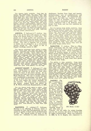 Cyclopedia of Hardy Fruits; by U. P. Hedrick (1922) 