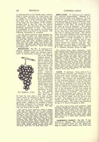 Cyclopedia of Hardy Fruits; by U. P. Hedrick (1922) 