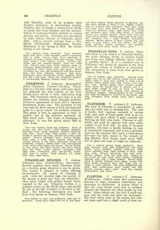 Cyclopedia of Hardy Fruits; by U. P. Hedrick (1922) 