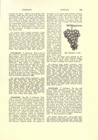 Cyclopedia of Hardy Fruits; by U. P. Hedrick (1922) 