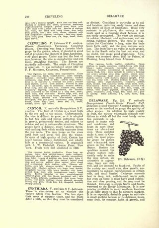 Cyclopedia of Hardy Fruits; by U. P. Hedrick (1922) 