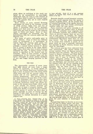 10                   THE PEAR                                                        THE PEAR

gions, where its usefulness is also much cur-                     or many grit-cells.    Seeds    1-3   in   a   cell,   sometimes
                                                                  abortive or wanting,   large,   brown or brownish, often
tailed by its susceptibility to pear-blight.                      tufted at the tips.
Crab-apple trees are used in cold climates as
stocks upon which to graft the common apple,                        Botanists describe several botanical varieties,
for which purpose they are in most respects                       and some would separate from the species a
very desirable.                                                   number   of garden forms.         In the present state
  Some twenty or more oriental flowering                          of botanical knowledge of         the species, however,
crab-apples are listed in the botanies, several                   the pomologist may best           classify      pomological
of which produce edible fruit, and two of                         varieties under the type          species.
which, P. prunijolia, Willd. and P. Sieboldii,                      Pyrus communis now grows naturally in all
Regel, have been more or less cultivated for                      but the coldest and warmest parts of Europe
their fruits and used as stocks for the common                    and Asia. It probably came originally from
apple in China and Japan.        Some of these                    the Caucasian countries and northern Persia,
Asiatic crab-apples are promising, also, for
                                                                  where, in elevated regions, there are now for-
hybridization with the common apple and the                       ests of wild pears; or, possibly, the original
Siberian crab.                                                    center of distribution was in Cashmere and the
  Five types of native crab-apples grow in                        northwestern Himalayas where there are also
North America. None of these has sufficient                       pear forests.    The     tree    grows spontaneously
merit to recommend it to pomologists in                           as an escape from orchards in nearly all re-
regions where the common apple grows, but                         gions where the pear is generally cultivated,
one, the Soulard crab, P. Soulardii, Bailey,                      but sparingly in North America, because kept
probably a natural hybrid between P. Mains                        down by pear-blight.
and P. ioensis is grown in the upper Missis-                        The common pear has been cultivated from
sippi Valley where only trees of great hardiness                  time immemorial.    The ancient Greeks had
withstand the cold. A typical variety of this                     several varieties; Pliny, the Roman naturalist,
species is described as the Soulard crab by                       describes forty-one varieties. The pear is men-
botanists.   There is some promise of further                     tioned in France, Germany and Great Britain
amalgamation of the common apple and the                          almost with the first written records of agri-
native crab-apple to secure greater hardiness
                                                                  culture, and it came to America with the
of tree and longer keeping qualities in the                       earliest permanent settlers in the northern
fruit.                                                            states.  The French brought the pear to Can-
                                                                  ada and Michigan, and pear-trees said to be
                        THE PEAB                                  two hundred years old are yet standing about
                                                                  mission sites of the French along the St.
    The innumerable          varieties       of   pears,   more
                                   come from                      Lawrence and the Great Lakes to Detroit,
than 4000,      almost       all         single       a
                                   A
                            second species, P.                    Michigan.    The pear is now grown in the
species, P. communis.
          the Chinese Sand pear, furnishes per-                   temperate regions of the whole civilized world,
serotina,                                                         not so commonly planted as the apple only
haps a score of named sorts with showy fruits                     because less easily managed in the orchard,
which keep well, but are scarcely edible un-
                                                                  less adaptable to soils and climates, and more
cooked and of very indifferent quality in
                        This species, however,                    susceptible to pests, especially the pear-blight,
culinary preparations.                                            which takes prodigious toll from this fruit in
has added  much to the pear flora of the world;
                                                                  the pear-regions of the New World.
for, when hybridized with the common pear,
a plant is produced of remarkable vigor, clean                      In North America, pears thrive particularly
                                                                  well only in the states north of Maryland and
in growth, productive, hardy, and almost im-
mune to the dreaded pear-blight, which yields                     west to Wisconsin and in the Pacific states.
a fruit suitable for culinary purposes and                        The climate of the southern states is uncon-
edible out of hand, if properly ripened. The                      genial to this fruit, being too hot, while that
                                                                  of the Mississippi Valley and Great Plains is
well-known Kieffer is typical of these hybrids.
A                                                                 too hot in the summer and too cold in the
   third species, P. nivalis, the Snow pear, is
                                                                  winter. Blight, also, is more virulent in these
grown sparingly in parts of Europe for the
                                                                  regions than in those first named, and makes
making of pear cider, but is not of sufficient
                                                                  pear-culture precarious even where climate
importance to warrant discussion in a pom-                        favors. California and New York are the lead-
ological text.
                                                                  ing pear-growing states, in both of which re-
   3.  Pyrus communis, Linn.      Common Pear. A vig-             gions the pear industry is handicapped by
orous,  upright tree attaining a height of 80 feet and            blight.
a diameter of 4 feet, usually with an oblong or pyramidal
and rather compact top bark on old trees rough with
                         ;
                                                                    Pear-growing began in America as an avoca-
rather large persistent scales.   Leaves 2-4 inches long,         tion for  men of means, leisure, and taste. Its
1-2 inches wide, oblong-ovate, thin, hard and veiny ;
upper  surface dark green, glabrous     lower surface light
                                         ;
                                                                  period of greatest activity began early in the
green,   glabrous;   apex acuminate ; margin, crenate-            nineteenth century and passed before the close
serrate or entire, never setose-serrate     petiole 1 to 2
                                              ;                   of the century, during most of which time
inches long, becoming glabrous.       Flowers 1-2 inches          the pear was the center of interest in American
across, white, appearing with the leaves, borne in 4-12
umbel-like clusters on slender pedicels     calyx persistent
                                              ;
                                                                  fruit circles. In the first half of the last cen-
or rarely deciduous ; stamens 15-20.      Fruit exceedingly       tury many new varieties of pears were intro-
variable under cultivation, usually pyrifonn, sometimes           duced from Europe, and a considerable number
round-conic,   turbinate  or   occasionally   round-oblate    ;

green, yellow, red or russet, or combinations of these            originated on this side of the Atlantic.       In
colors; flesh of fruits ripening on the tree with few             1859, T. W. Field, in his Pear Culture, gave a
 