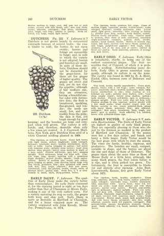 Cyclopedia of Hardy Fruits; by U. P. Hedrick (1922) 